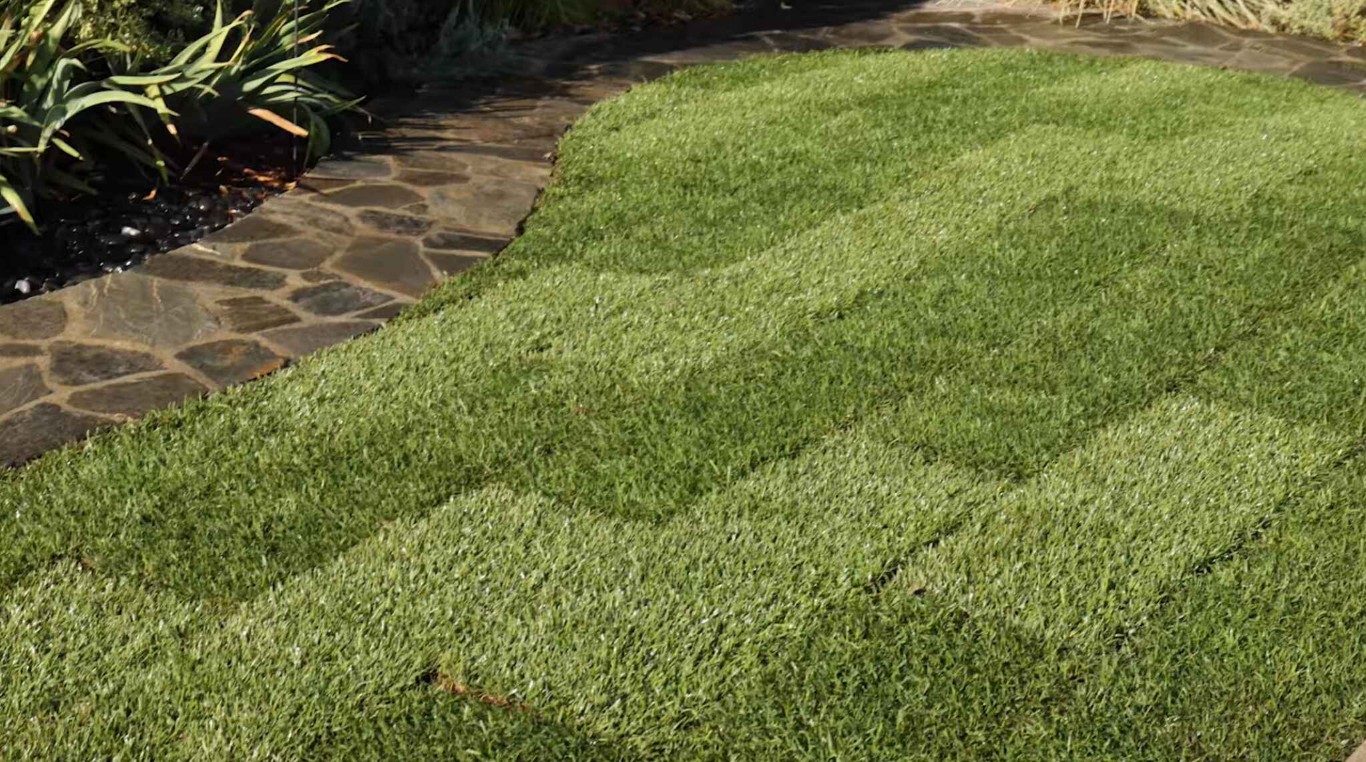 Sod installation for instant lawns in Jurupa Valley, CA