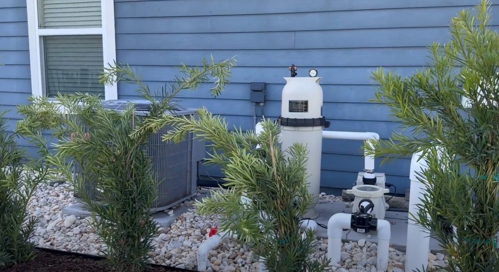 Professional pool equipment and landscape maintenance setup with proper screening
