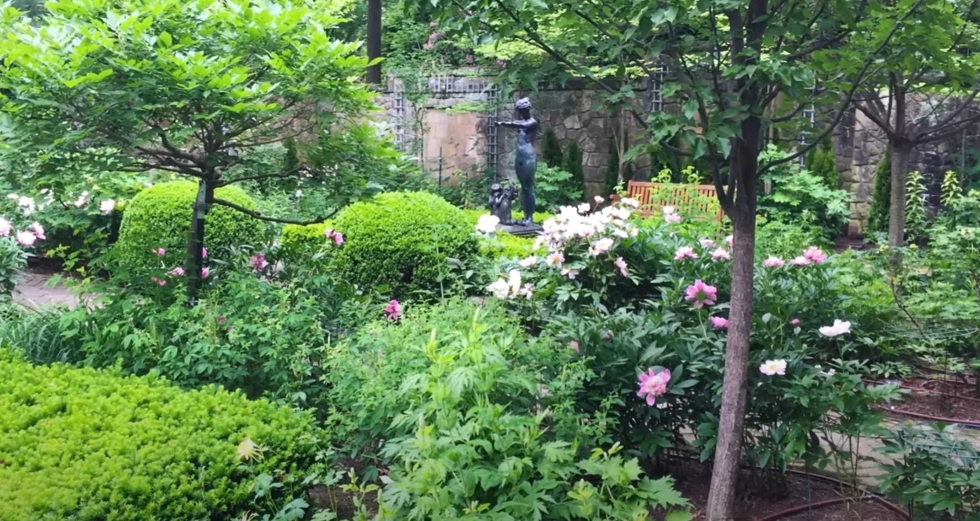 Lush garden sanctuary with flowering plants, mature trees, and decorative water feature
